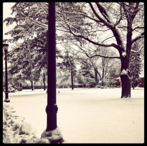 The Saint Rose campus quad is so beautiful in the winter! 