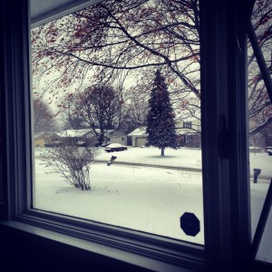 We got so much snow at home in Rochester, NY! We had a white Christmas! 